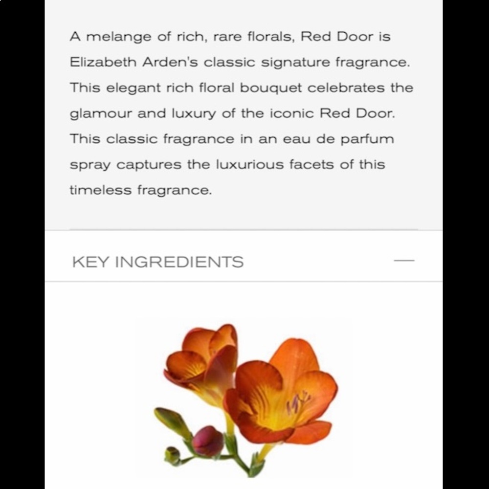 ELIZABETH ARDEN RED DOOR - Picture 3 of 3
